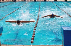 Vitórias na natação deram à FEA o título antecipado do BichUSP (foto: Felipe Maia)