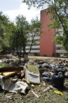 Lotado de entulhos, “Bosque do Chicão” se assemelha a terreno baldio (Foto: Helena Rodrigues)
