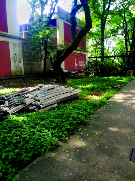 Telhas do Centro Escola do IP tiveram de ser retiradas por estado de grande deterioração (Foto: Paula Lepinski)