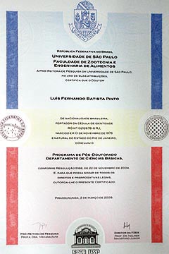 Modelo do novo diploma