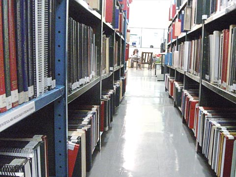 Biblioteca da FE continua aberta mesmo com a greve (foto: Mariana Franco)