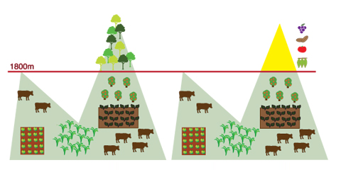 Pontos do novo Código Florestal (infográfico: Stefanie Kanzian)