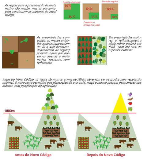 Pontos do novo Código Florestal (infográfico: Stefanie Kanzian)