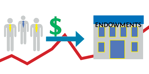 O objetivo inicial dos endowments é reunir a quantia de R$25 milhões até o fim de 2012 com doações de pessoas físicas e jurídicas