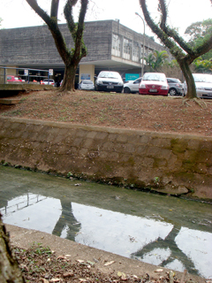 Trecho do Tejo em frente ao prédio da Mecânica (foto: Ana Pinho)