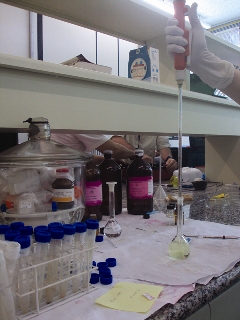 Laboratório de Biomateriais Poliméricos do IQ-USP (foto: Anna Carolina Papp)