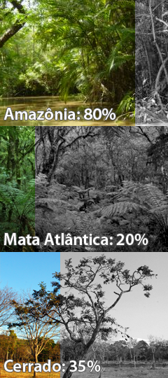 Terrenos localizados na Amazônia devem preservar 80% da vegetação nativa em reservas legais. A porcentagem para o Cerrado é de 35% e para a Mata Atlântica e outros biomas 20%. Com o novo código, terrenos localizados em estados que tenham mais de 65% de sua área protegida só poderão reduzir a preservação a 50% do território (fotos: Bruno Camelier/SXC; Piotr Menducki/SXC; Felipe Horst/SXC)
