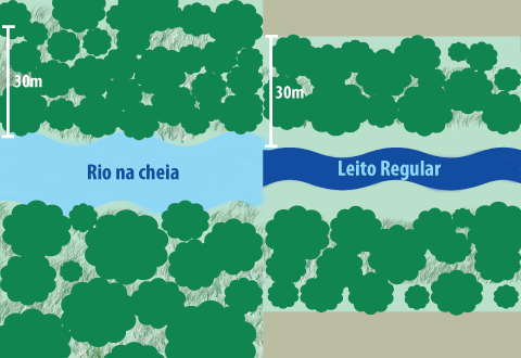 Com o novo Código, a extensão das matas ciliares vai diminuir. Isso ocorrerá porque a contagem da área que deve ser preservada será feita a partir do leito regular do rio (infográfico: Paula Zogbi Possari)