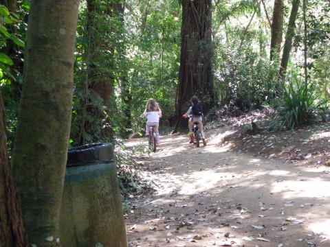 bosque