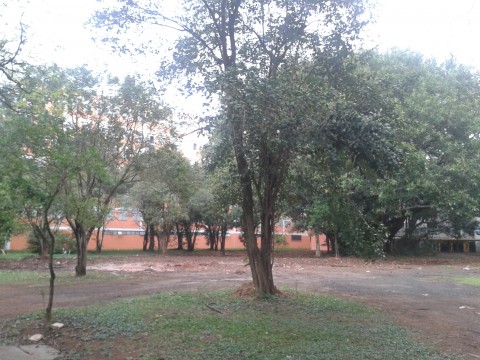 Após retirada do lixo, área está sendo revitalizada