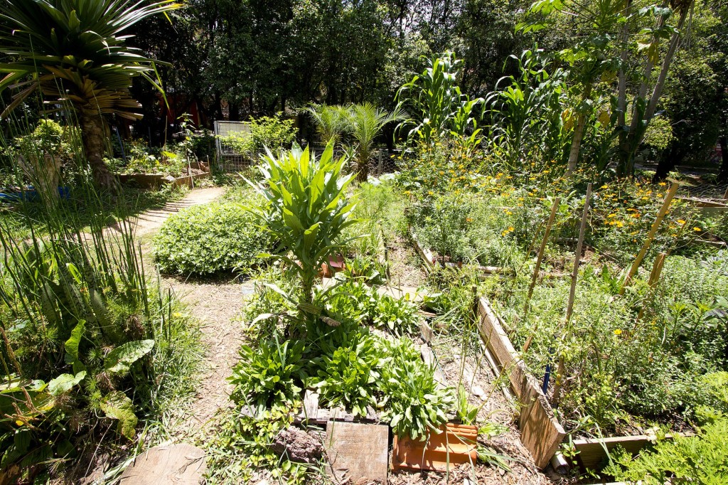 Horta das Corujas, primeira horta ativista e comunitária em São Paulo, na região da Vila Madalena (foto: Marcos Santos)