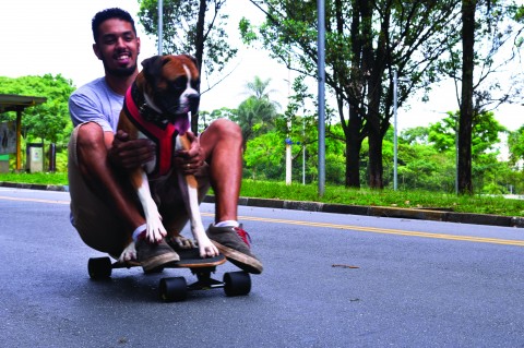 Dogs 2
