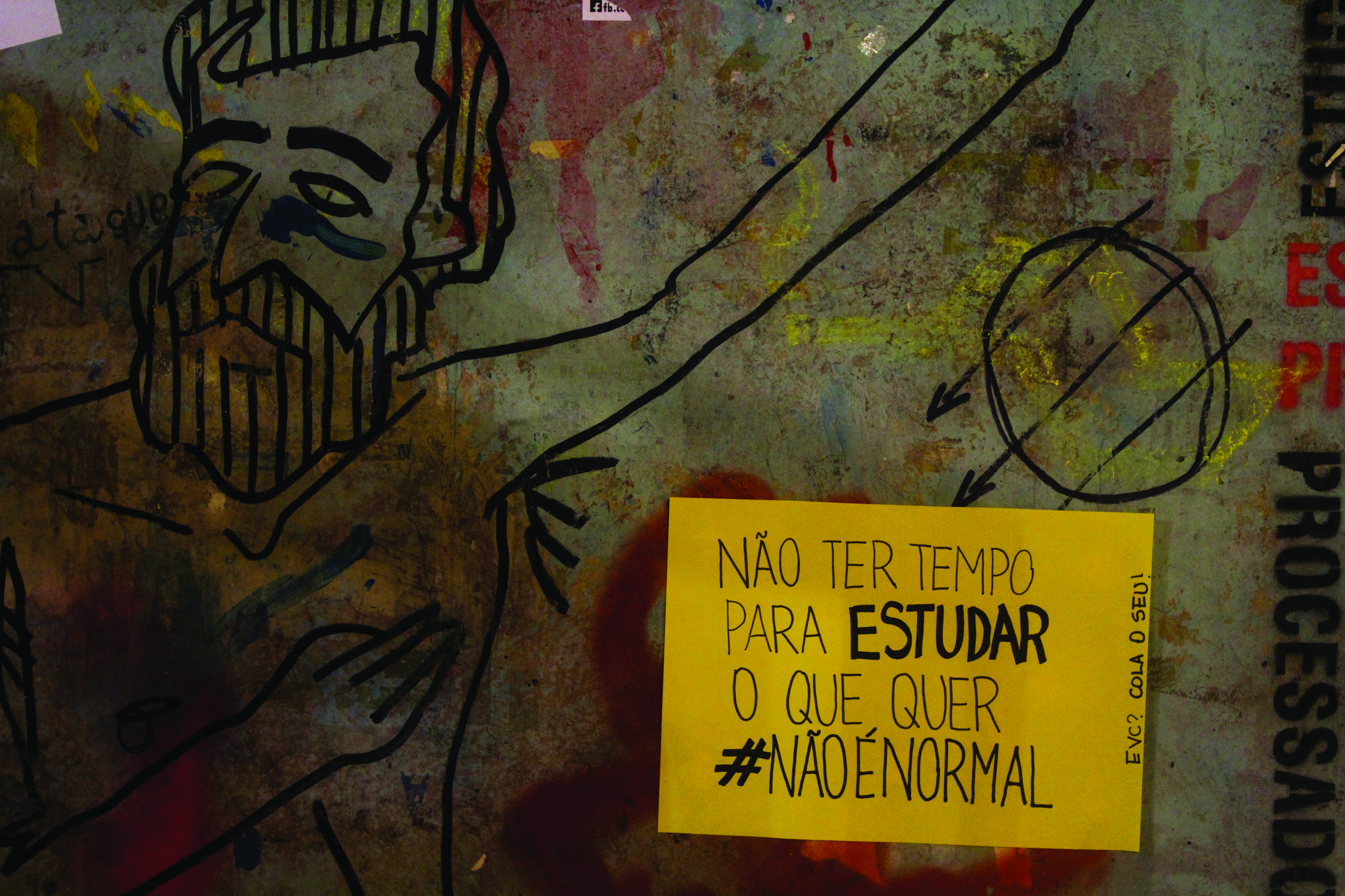 Não ter tempo para estudar o que quer (Foto: Ana Luisa Moraes)
