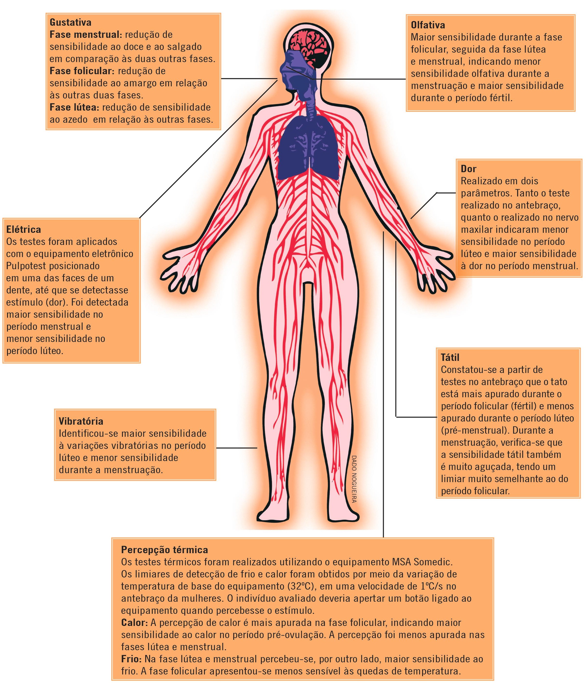 cor da menstruação: entenda os sinais do seu organismo