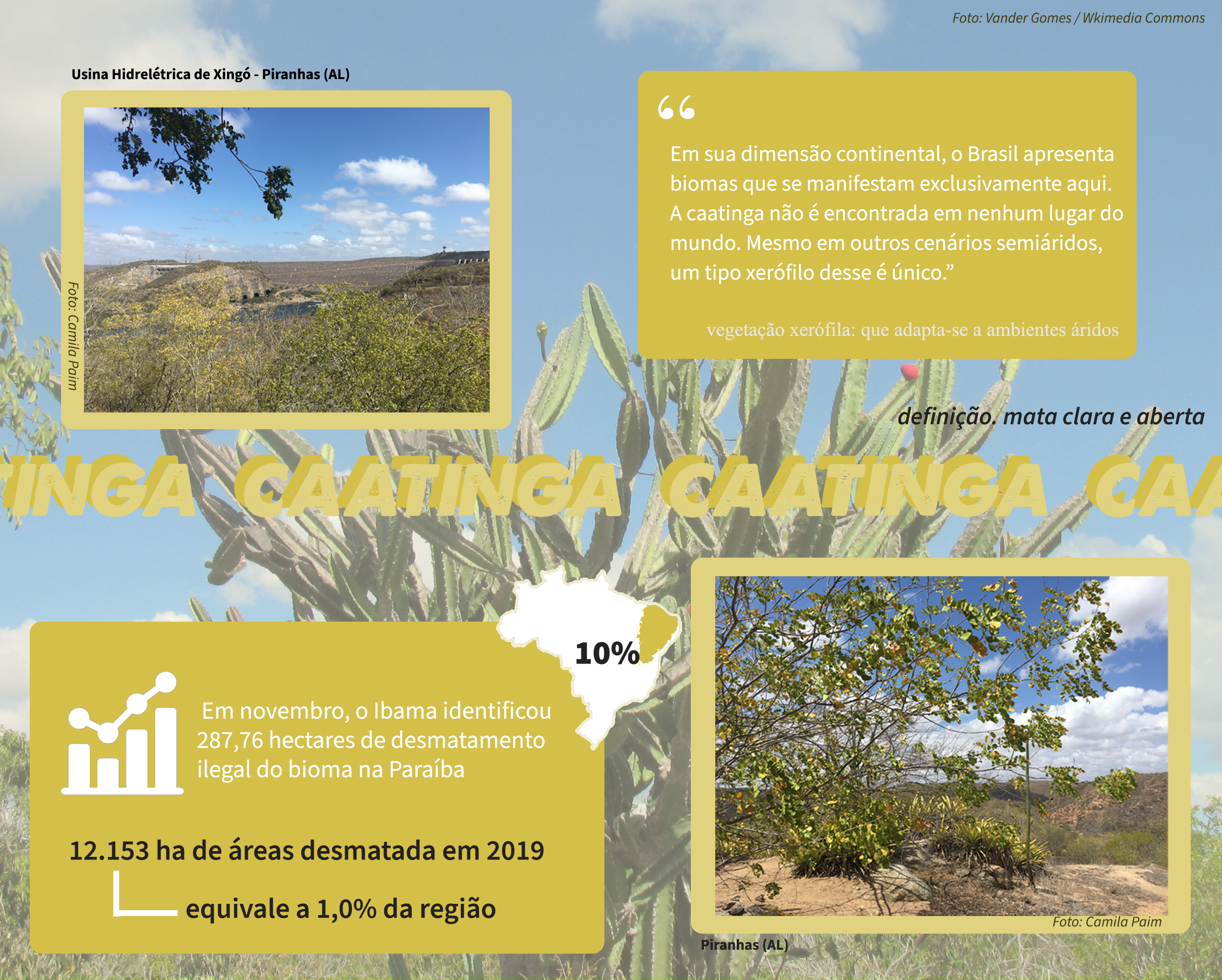 Brasil: Biomas - Disciplina - Geografia