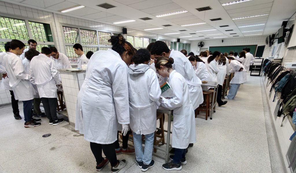 Estudantes do curso de Farmácia da USP durante a aula de Anatomia Humana no ICB